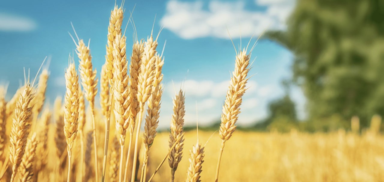 photo_2026-01-21_16-23-41