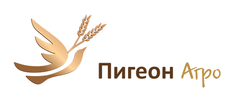 LogoPig